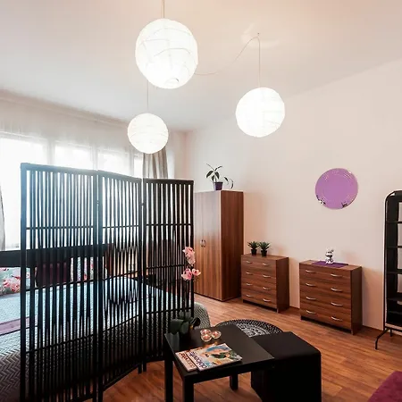 Apartment Na Zborenci 10 Prague